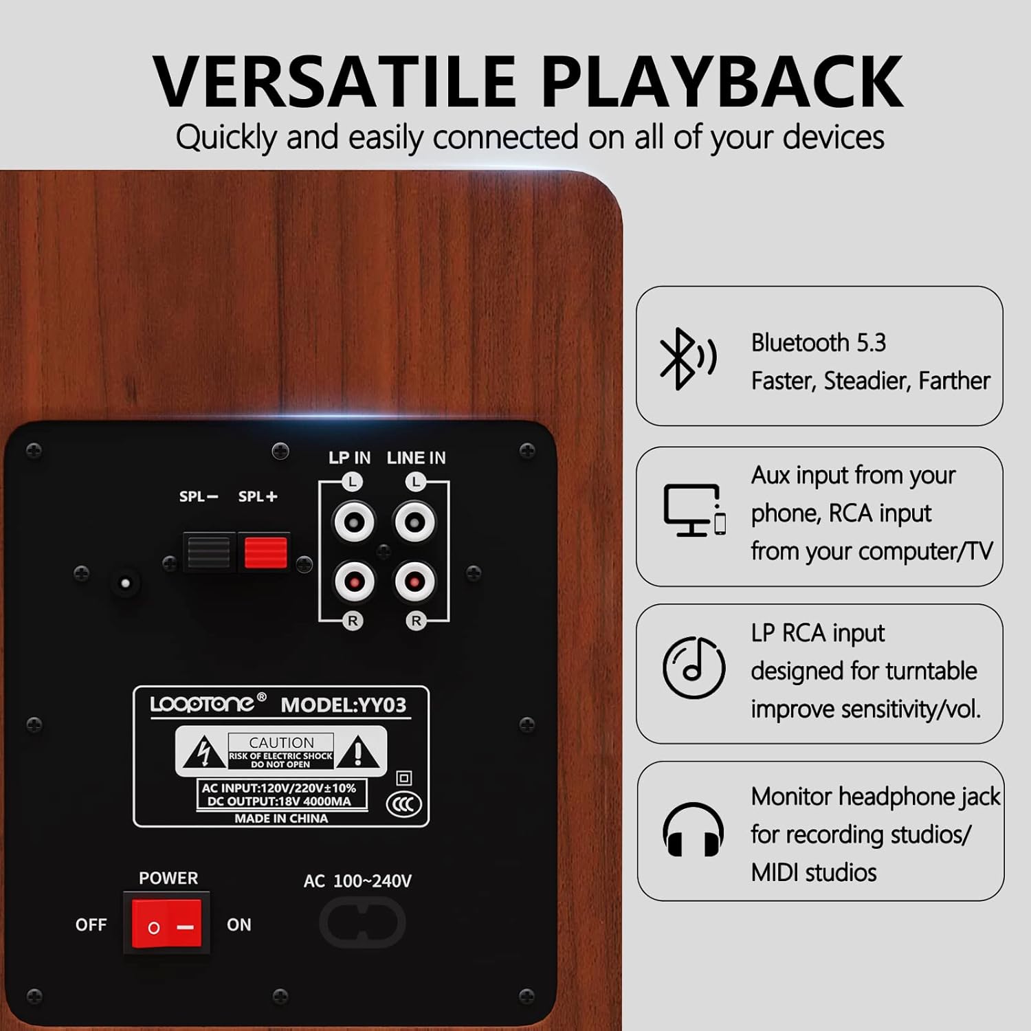 Rear panel of the LoopTone MF-YY03 powered speaker showing various input ports and power switch.