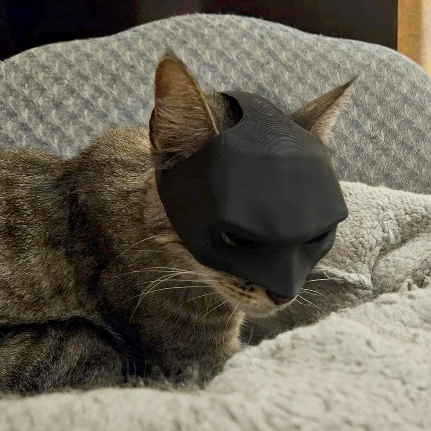 Cat Bat Mask Cosplay Hat - Funny Cat Halloween Costumes Funny Pet Decoration for Halloween Christmas Easter Festival Party bat mask for Cats, Cosplay Black CatBat Mask, Medium