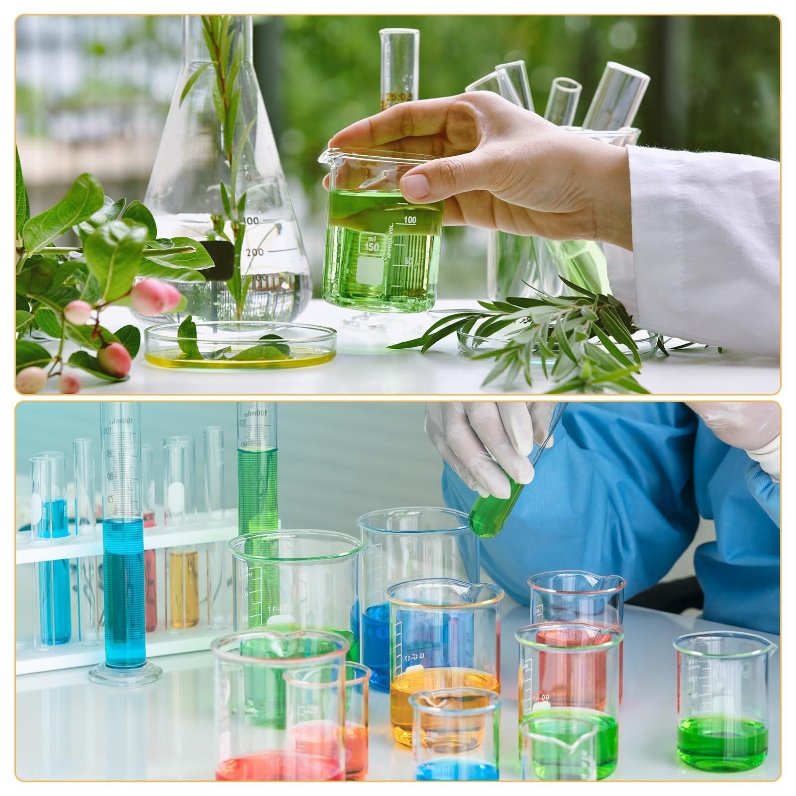 250ml Labor Becherglas aus 3.3 Borosilikatglas – Hitzebeständig mit Graduierter Skala und Ausguss für Labor, Schule und Küche(600ml)