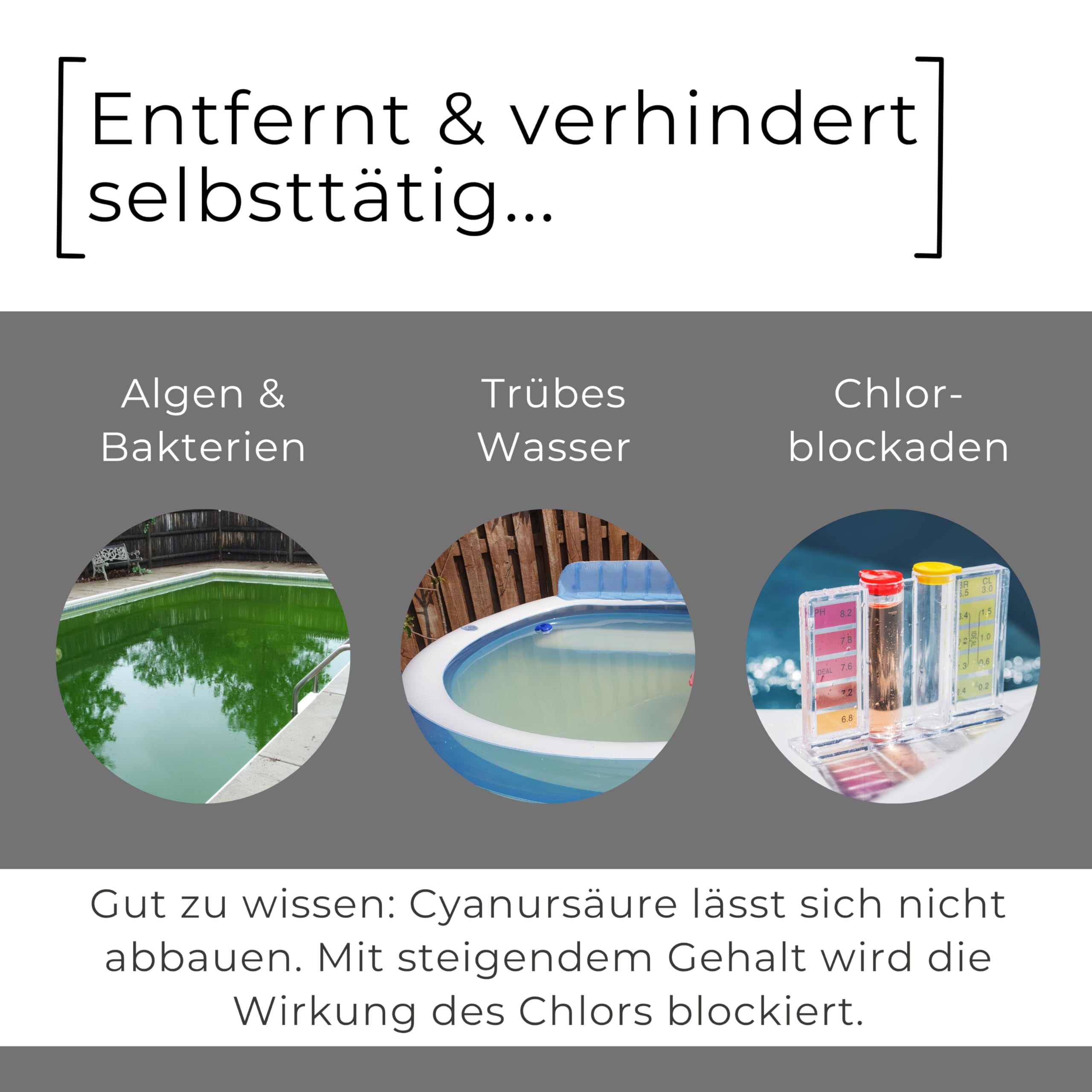 ABACUS® Flüssigchlor 13–15 % | 5L Kanister | Poolchlor zur Desinfektion von Pool & Schwimmbad | Hochwirksames Aktivchlor für klare Wasserqualität | Für Dauerchlorung und Stoßchlorung