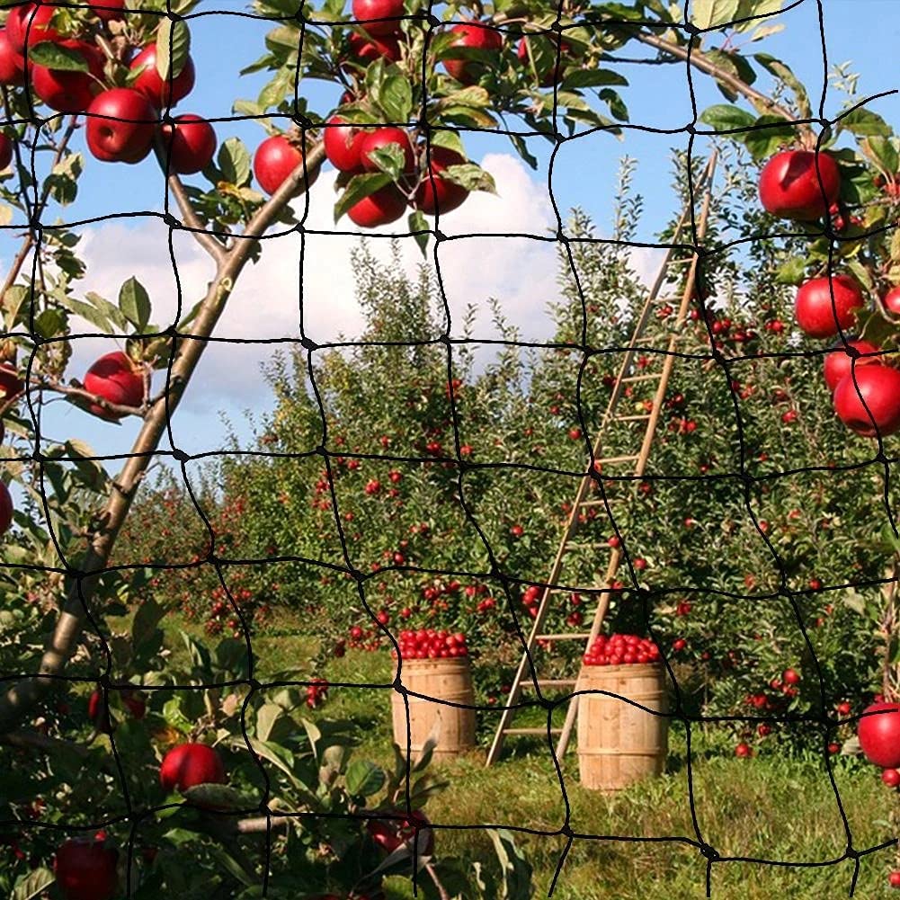 Filet de jardin anti-oiseaux - 30 x 15 m - Pour volière - Pour le jardin, la volaille, le jardin, la volaille, le jardin, la volaille, la barrière de 5 cm