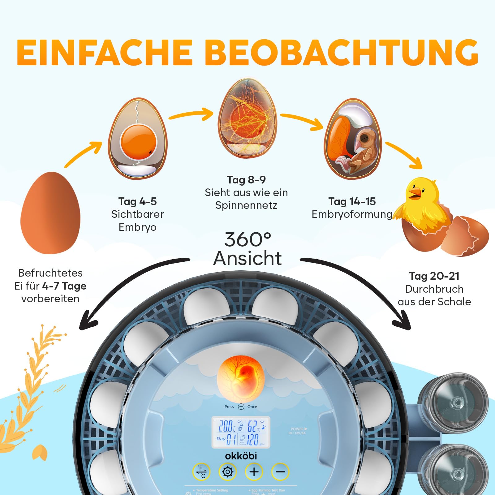 E18 Brutautomat für 18 Eier Vollautomatisch mit automatischem Wenden