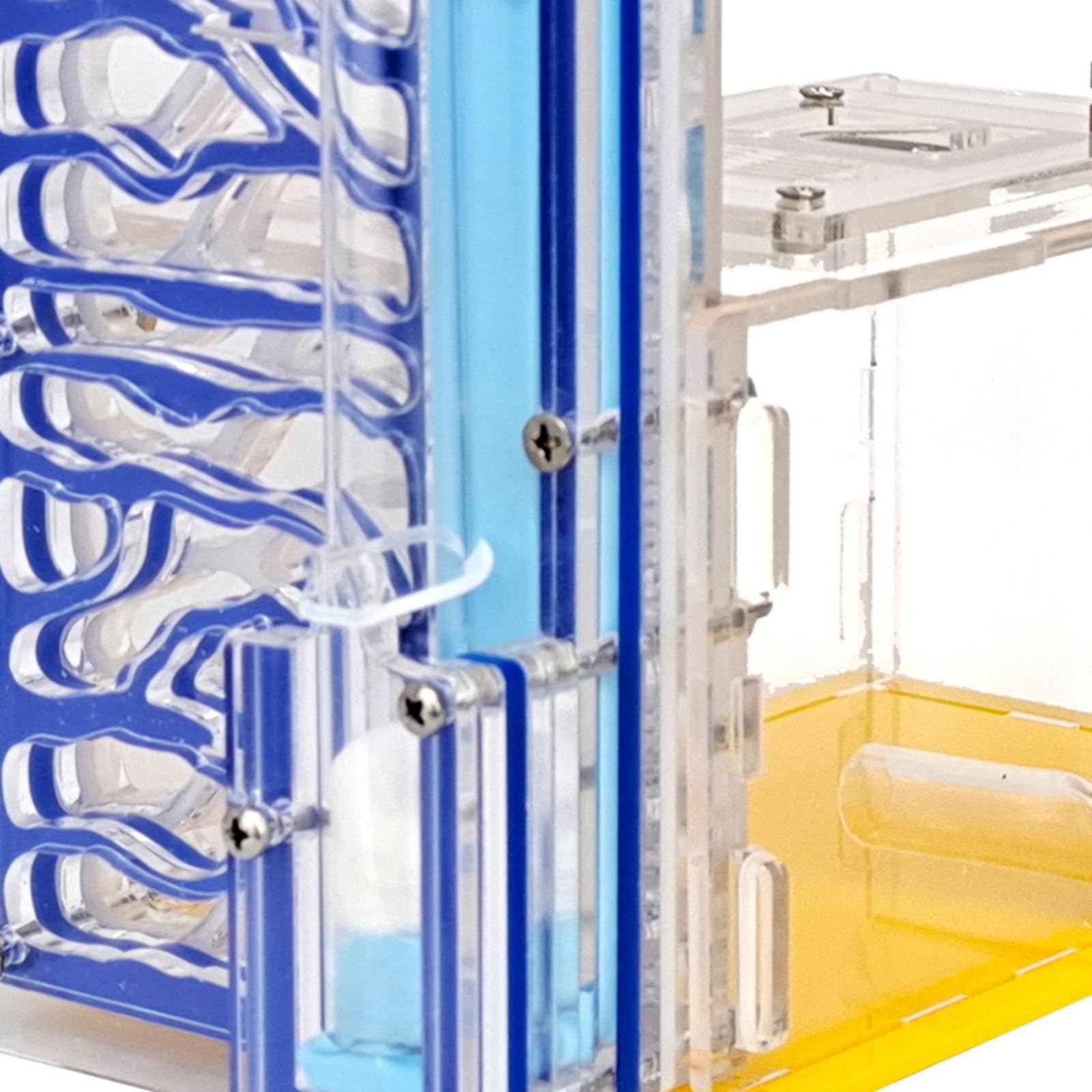 Nido de cría para Hormigas, Nido de Hormigas acrílico, Caja Transparente de Exhibición de Juguetes Educativos, Granja de Hormigas para Amantes, Regalo de Cumpleaños, Azul