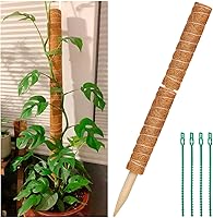 Vista 1 de 2 postes de musgo de coco de 12 pulgadas para plantas trepadoras con 4 lazos ajustables para plantas, palo de tótem de musgo de coco para extensión