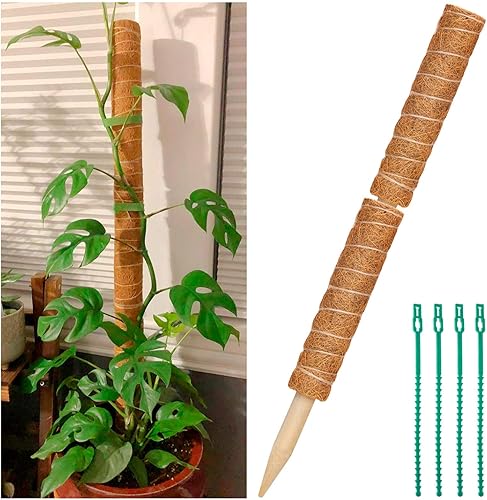 2 postes de musgo de coco de 12 pulgadas para plantas trepadoras con 4 lazos ajustables para plantas, palo de tótem de musgo de coco para extensión