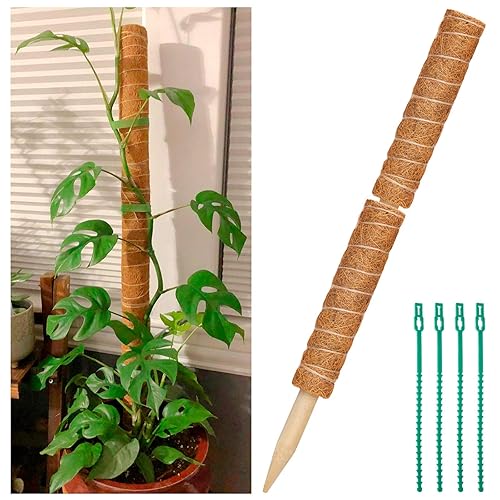 2 Pcs 12 Inches Coir Moss Poles for Climbing Plants with 4 Pcs Adjustable Plant Twist Ties - Coir Moss Totem Stick for Creepers Plant Support Extension, Climbing Indoor Plants(Total 20 Inch)
