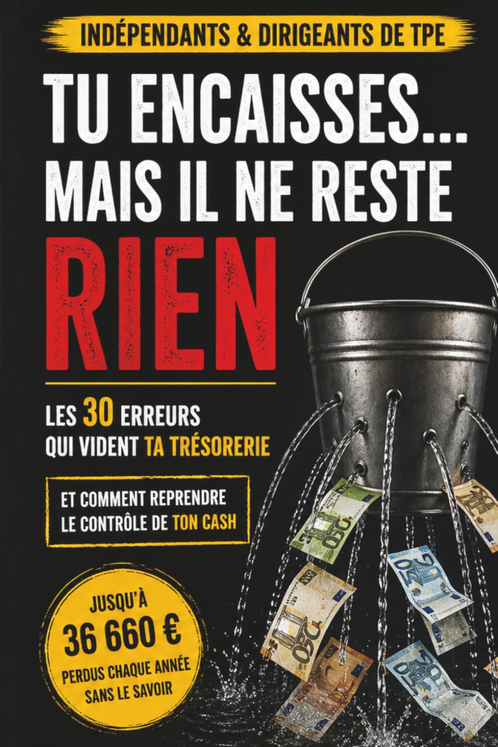 Trésorerie des indépendants et TPE: Les 30 erreurs qui vident votre cash et comment reprendre le contrôle de votre rentabilité