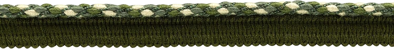 DÉCOPRO 4/16" (0.5cm) Marrakesh Collection Decorative Twisted Rope Cord Trim with Lip (Style# 0025RW) Cabbage Green Multicolor (Color# VL11) 5 Yards (15 ft/4.5m)