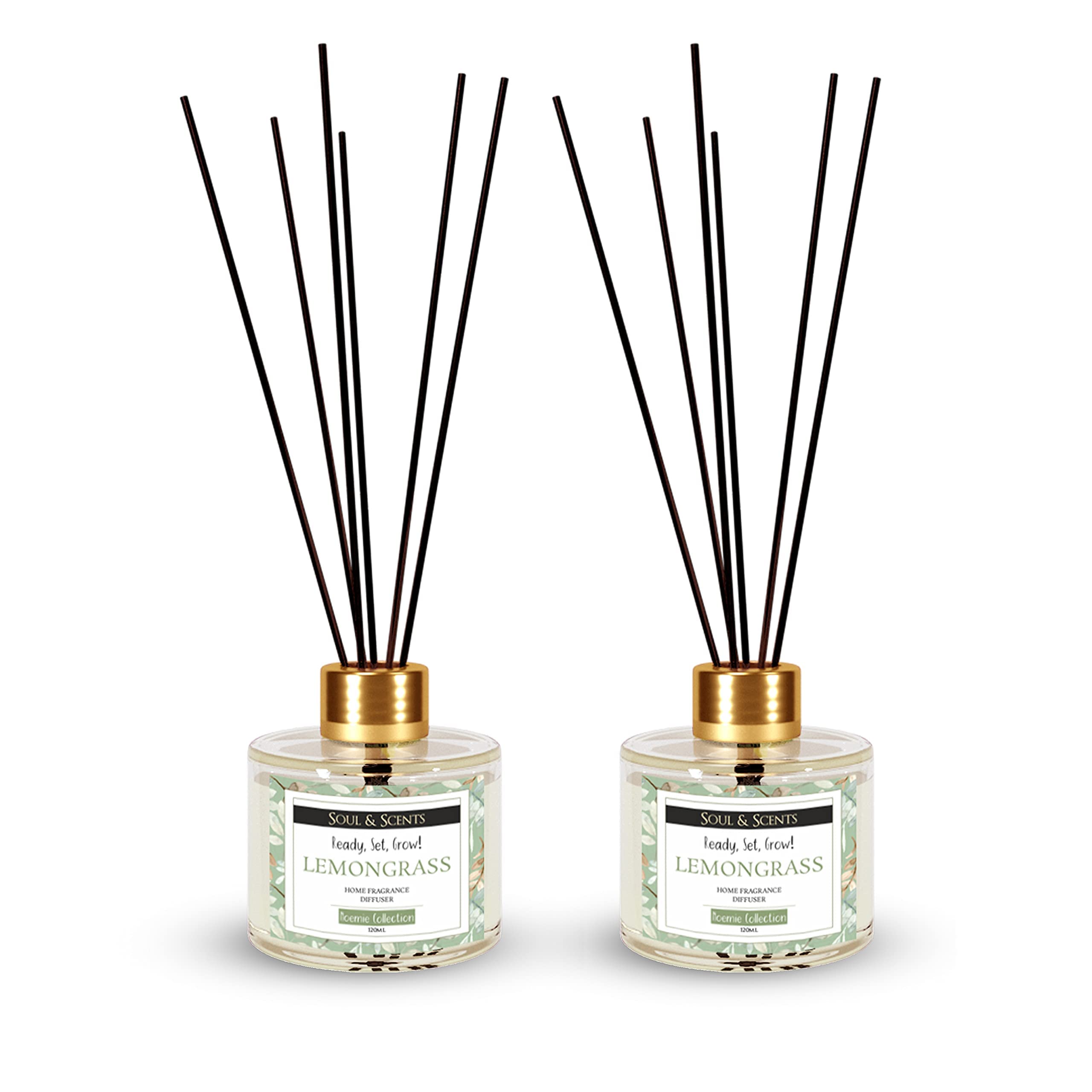 Soul & Scents Glass Lemongrass Reed Diffuser Set - 120ml with Free 6 Fiber Reed Sticks Each|Toxin Free&Stress Relief|Long Lasting|Smoke Less Room Freshener for Home,Bedroom&Office|Pack of 2