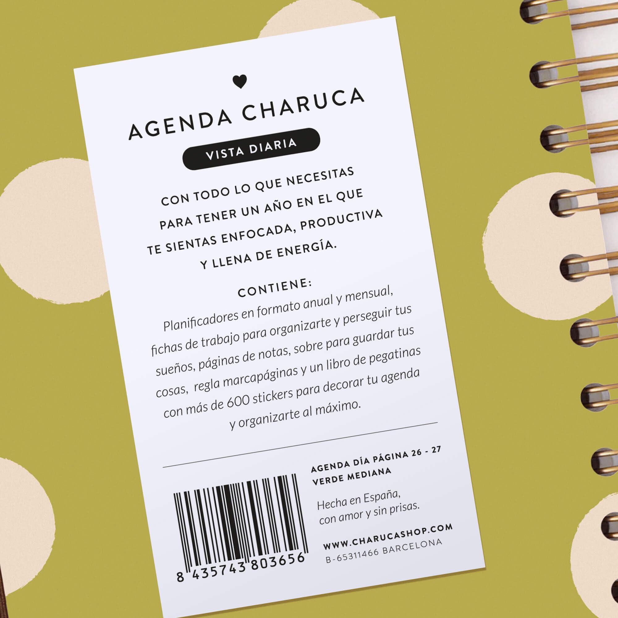 Charuca Kalender 26-27, akademischer Tagesansicht, fester Einband mit goldenen Details, mittelgroß, inklusive Stofftasche und Lesezeichen, hergestellt in Spanien (Pistacho Dreams)