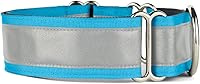 Vista 19 de If It Barks - Collar Martingala reflectante de 1.5 pulgadas con hebilla a presión rápida para perros - Ajustable - Fabricado en Estados Unidos