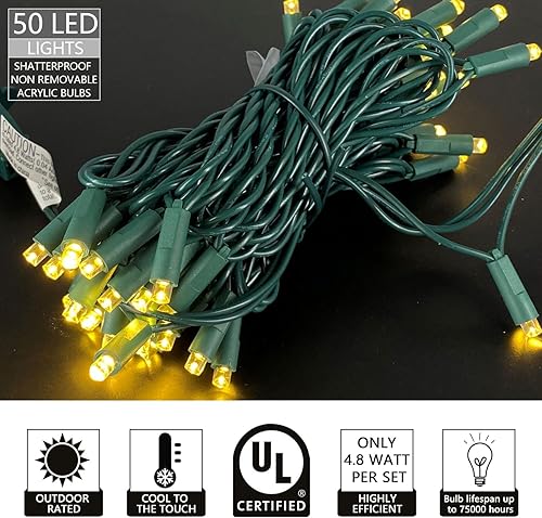 Miniatura 6 de Everfit Lighting - Luces pequeñas de Navidad, serie para exteriores, para patio, jardín, fiestas y decoración de temporada, 50 luces LED, cable