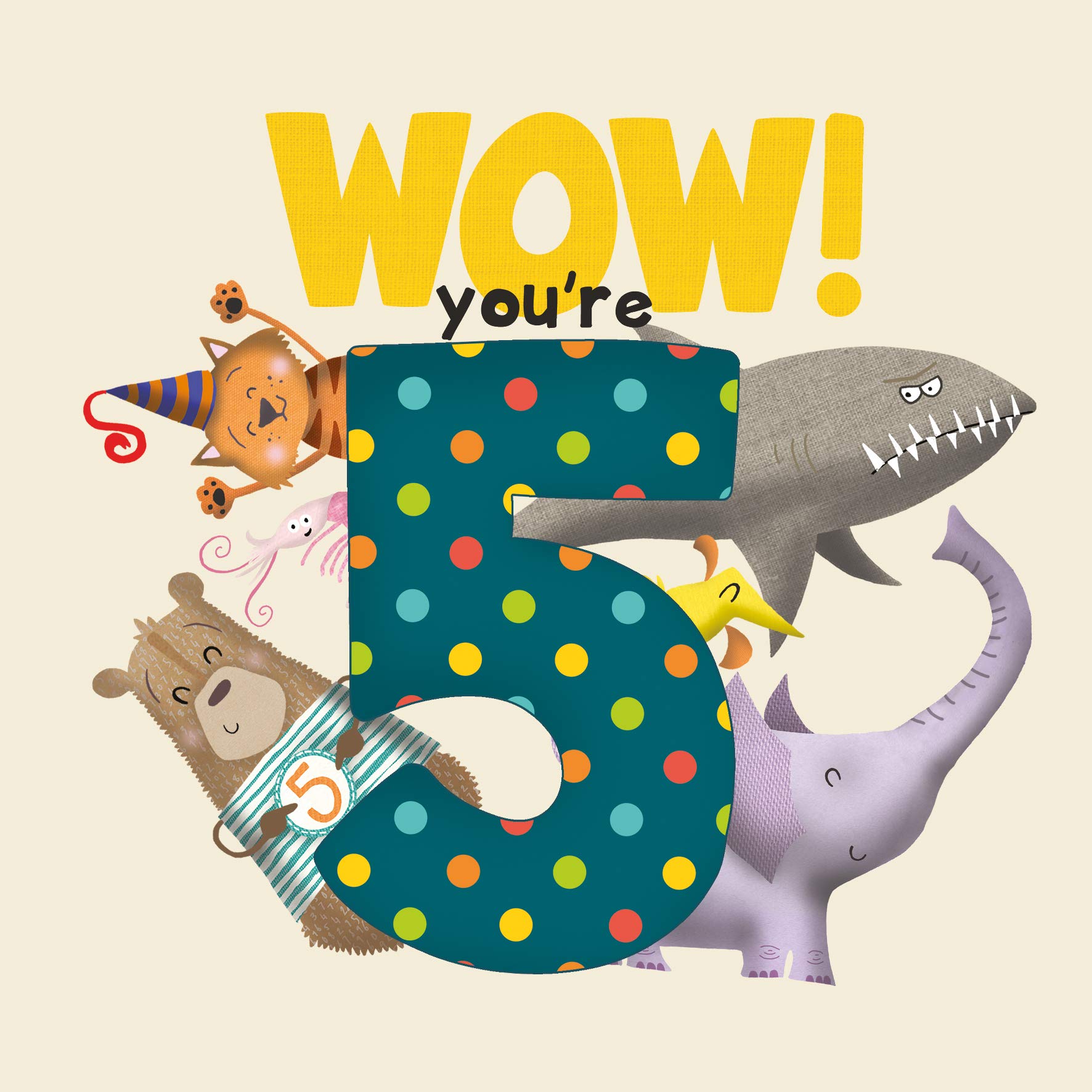 WOW! You're Five birthday book by Lucy Tapper (Paperback Book)