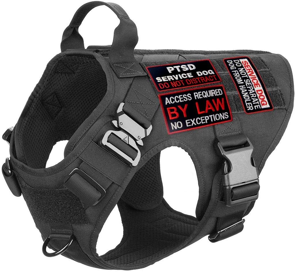 Service Dog in Training Working No Touch PTSD Do Not Distract Vest / Harnesses Morale Tactical Patch Embroidered Badge Fastener Hook & Loop Emblem, 6 Pcs