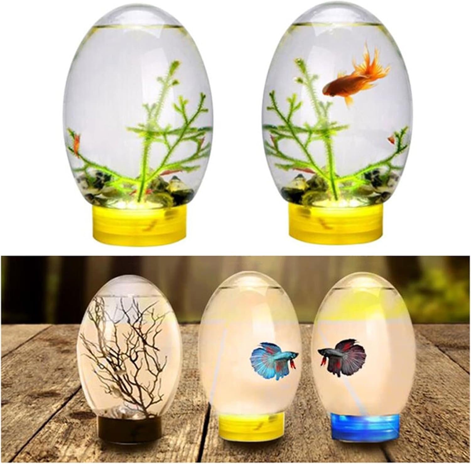 Mini Ecological Fish Tank, Closed Aquatic Desktop Aquarium with Led Base, Home Office Decor, No Need to Change Water(Black)