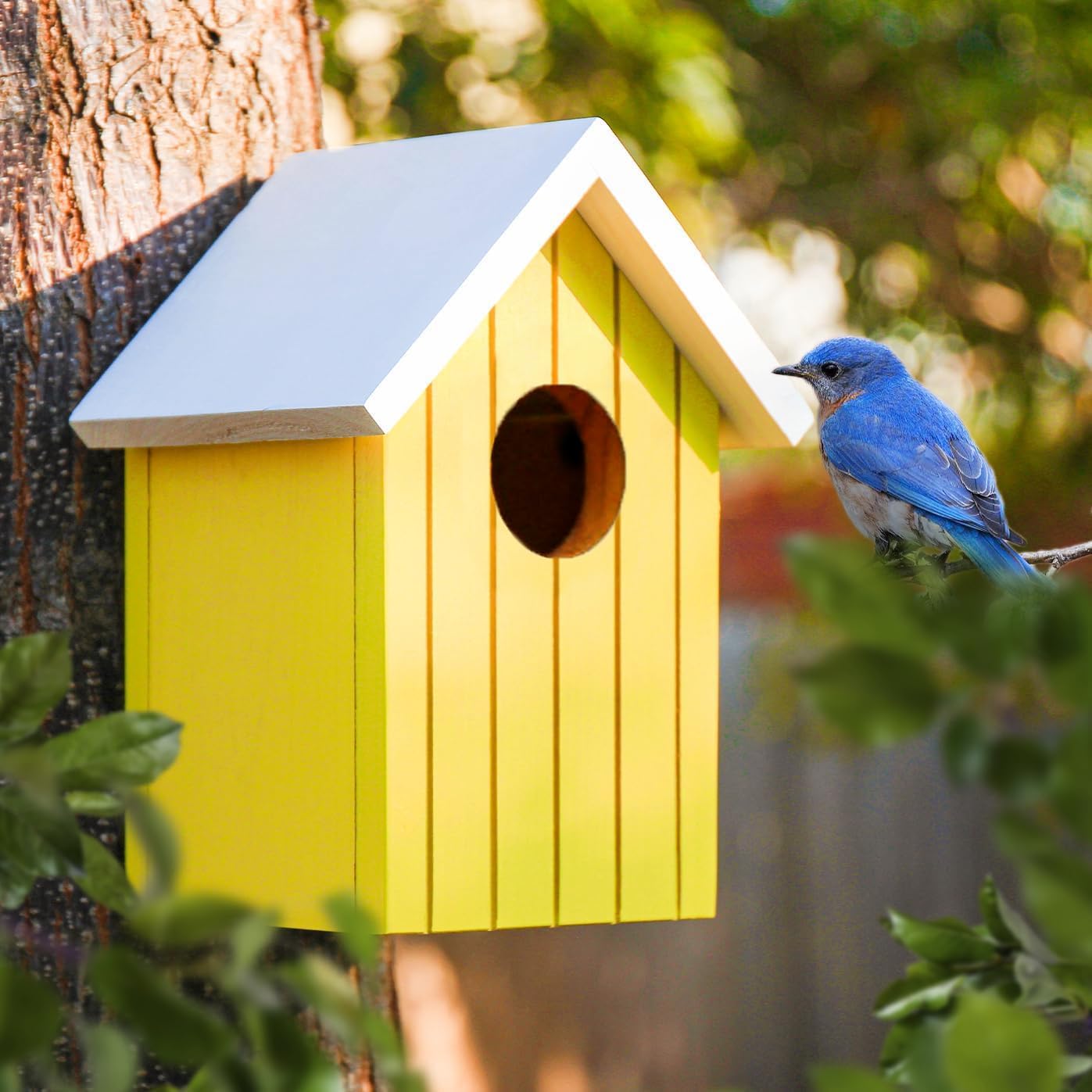 BIRDSHALA Wooden Large Bird House for Sparrow, Bulbul, Budgies, Wild Birds & Pet Birds - Colorful Garden Decorative (Yellow)