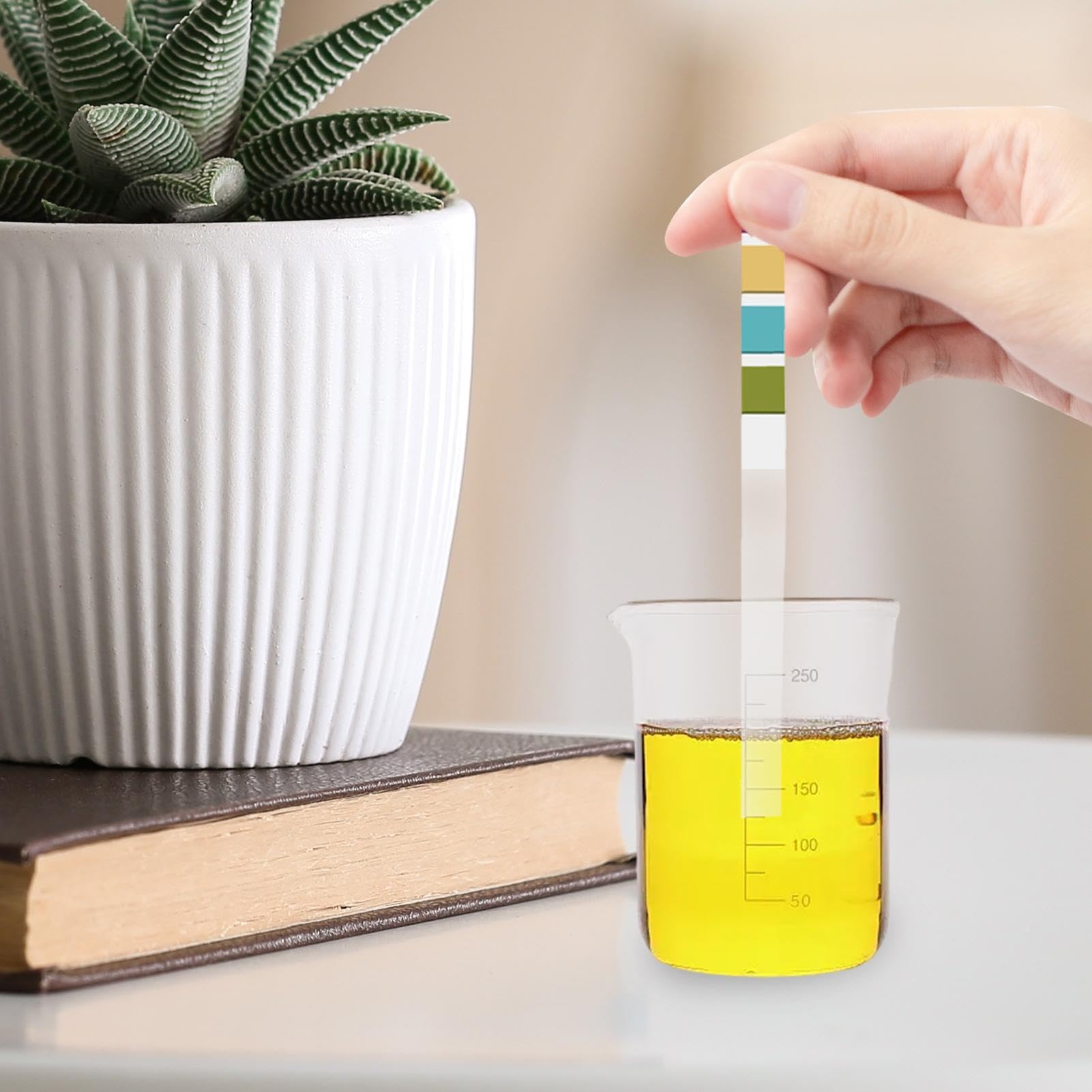 Cczus Bande Test pour urine et salive, papier d'analyse ph 0-14 - Papier d'analyse eau pour eau potable, nourriture, piscines