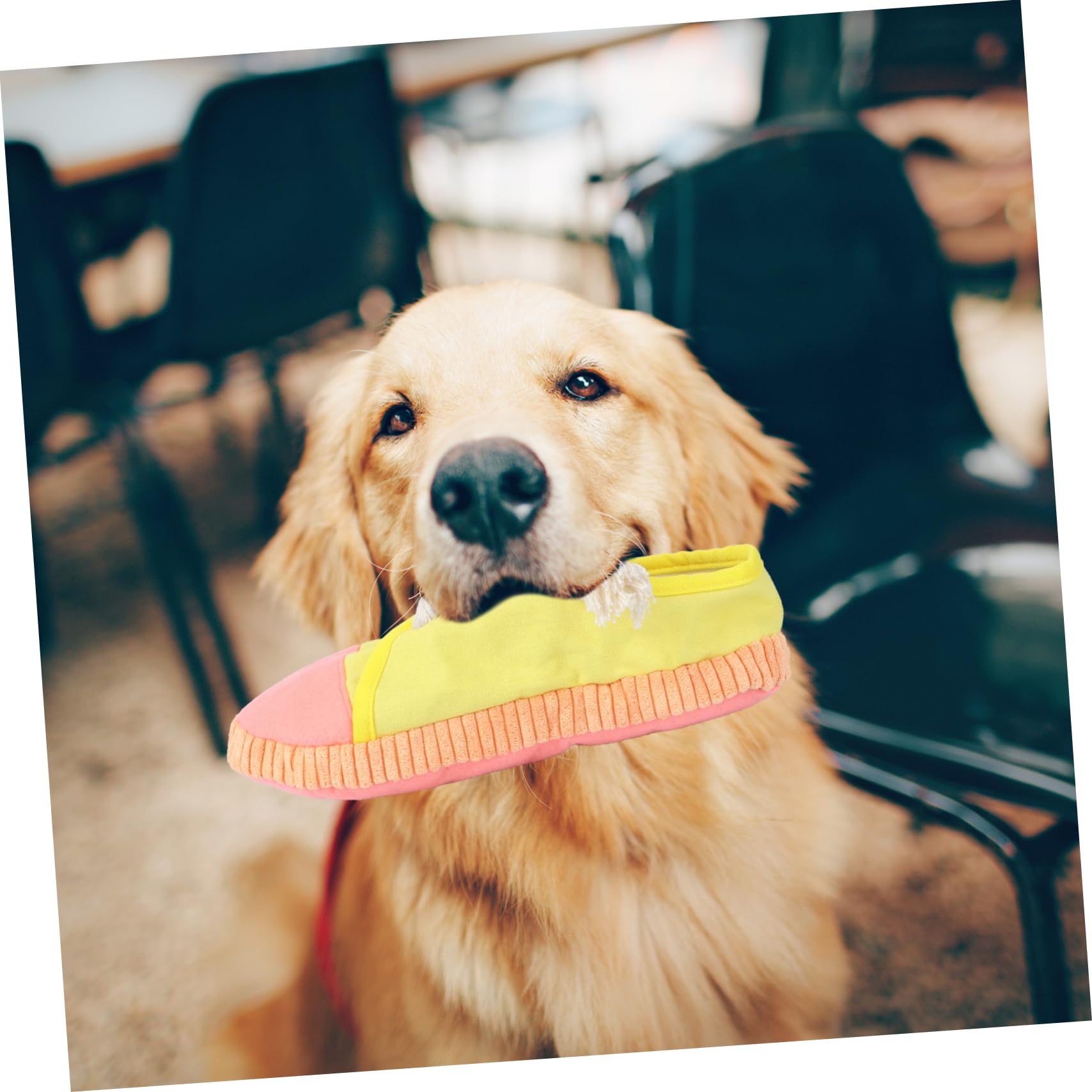 YARNOW 3pièces Jouet à Mâcher pour Chien Forme De Jouet Éducatif pour Chiens pour Grincement Nettoyage Dents