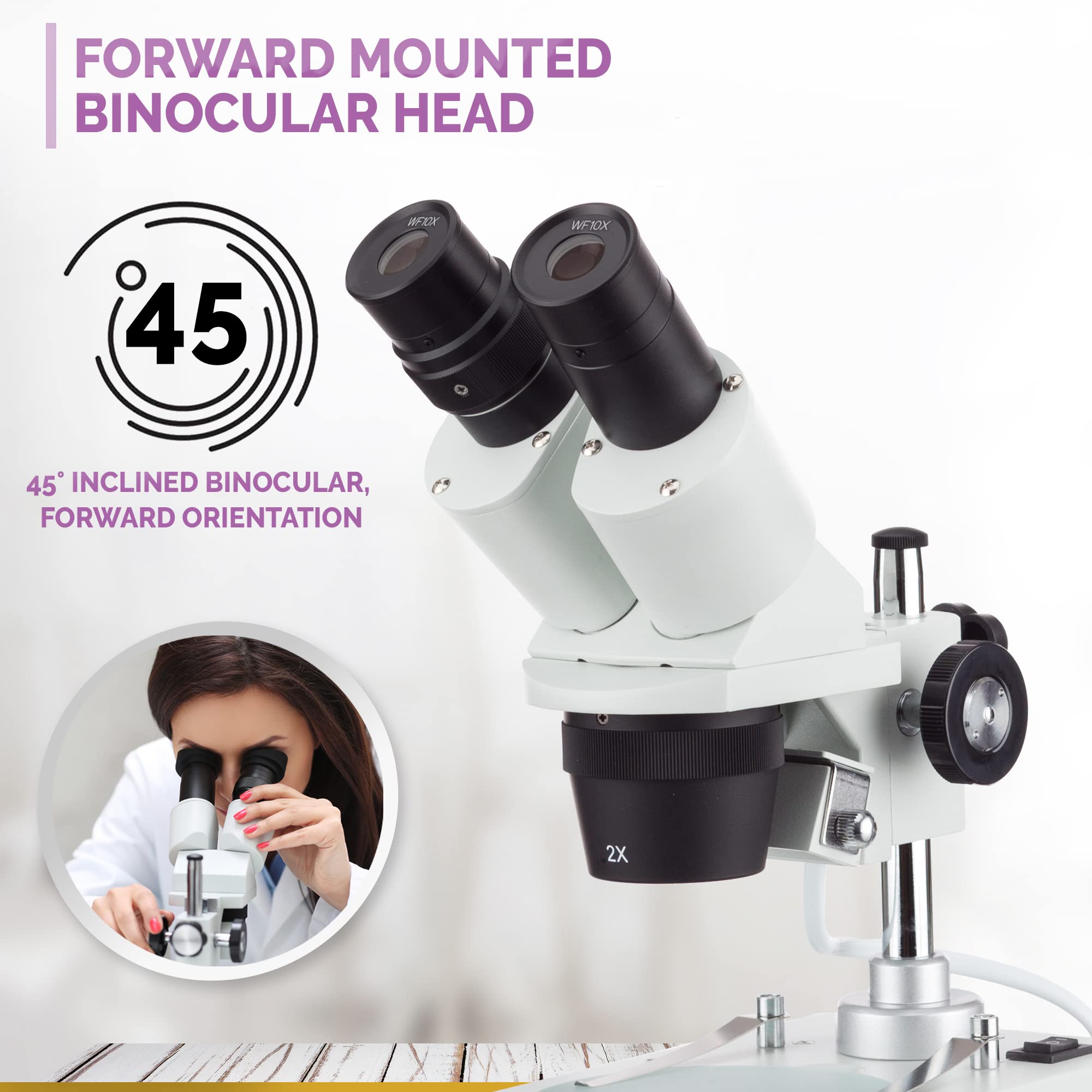 Microscopio estéreo compacto de múltiples lentes 40X-80X con cabeza angular, soporte de pilar de metal, iluminación LED superior e inferior