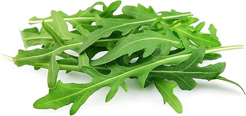 Semillas de rúcula, 250+ Heirloom, semillas sin OMG, Eruca Sativa.