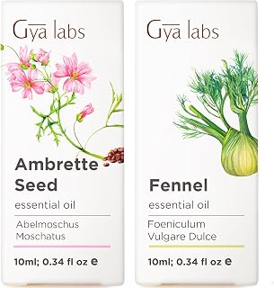 Ambrette Seed Essential Oil for Skin & Fennel Essential Oil Diffusers Set - 100% Natural Aromatherapy Grade Essential Oils Set - 2x0.34 fl oz - Gya Labs