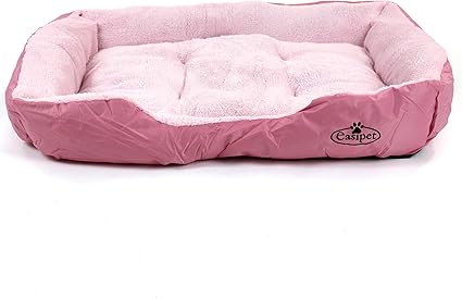 american bully harness