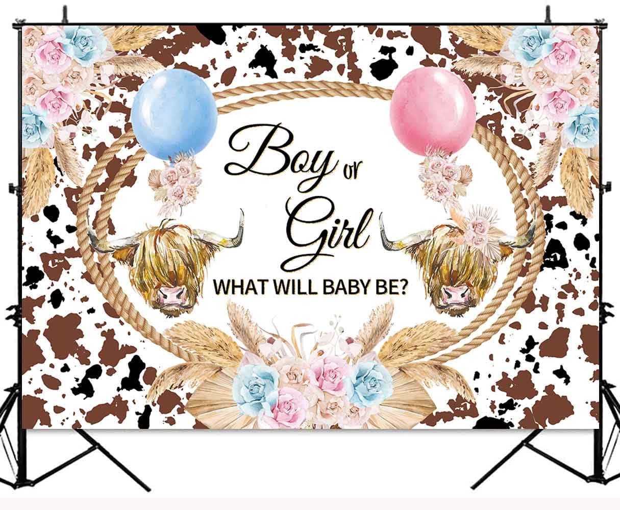Highland Cow Gender Reveal Hintergrund 210x150 Cm – Rosa & Blau Mit Boho-Floral-Design Für Babyparty