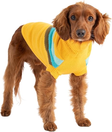 yellow dog sweater