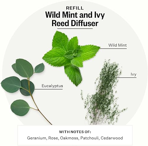 Miniatura 2 de Apotheke Recambio líquido de difusor de varillas de aceite perfumado de lujo (menta silvestre e hiedra), juego de repuesto de difusor de fragancia
