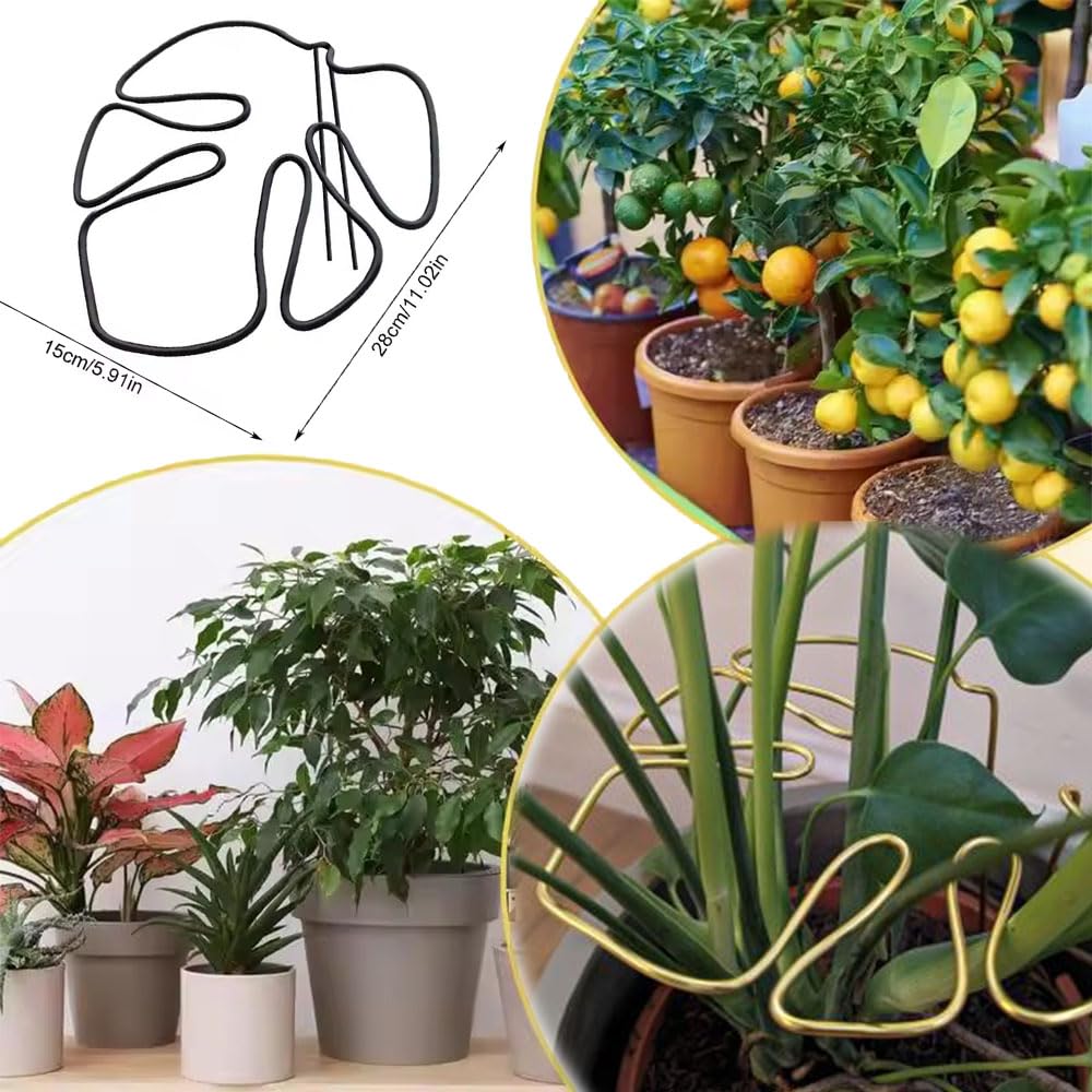モンステラ 鉄スタンド　黒 Amazon | GLOWZEN モンステラ 支柱 園芸支柱 観葉植物 植物サポート 花