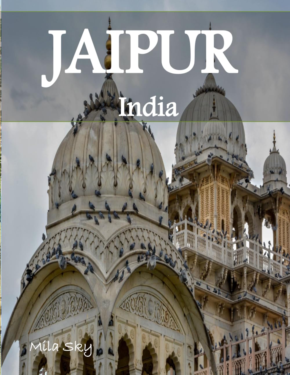 jaipur india: A Luxury Coffee Table Book of Iconic Landmarks