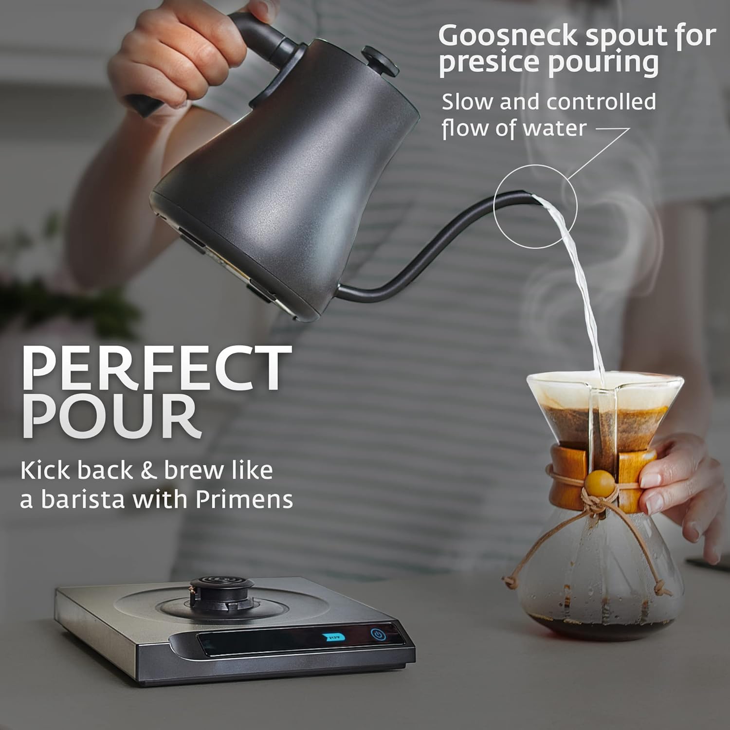 Buy Small Water Kettle for Coffee & Tea, Gooseneck Electric Kettle