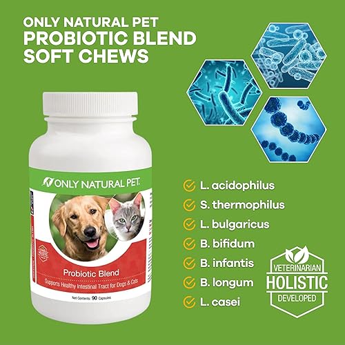 Miniatura 2 de Only Natural Pet Suplemento probiótico para perros y gatos, fórmula enzimática para la salud del tracto digestivo e intestinal, apoyo digestivo para
