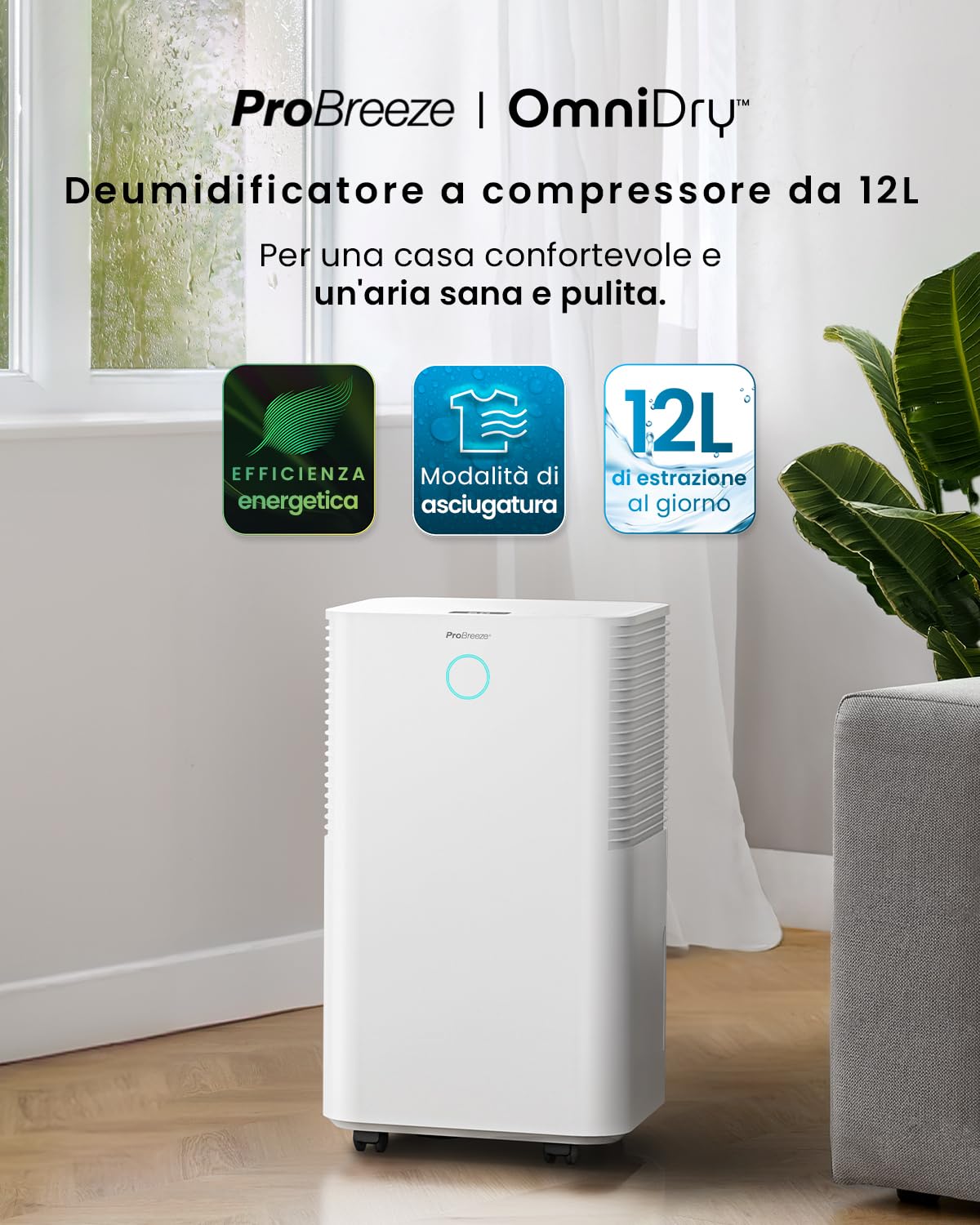 Pro Breeze Deumidificatore 12L/giorno con serbatoio d'acqua da 2L, sensore e display di umidità auto, asciugatura della biancheria, modalità Sleep e timer 24H - Umidità, muffa e condensa