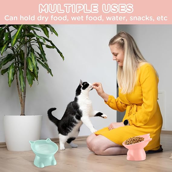 Yaomiao 2 Pcs Plastic Elevated Cat Bowls Raised Pet Food Water Bowls for Small Kitten Pet(Pink, Green)