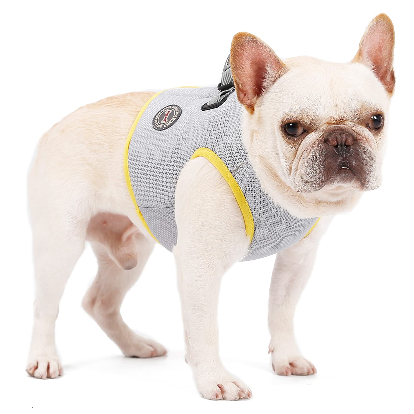 Hund Kühlgeschirr Sommer Mesh Verstellbar Hund Kühlweste Jacke Outdoor Sonnenfest Haustier Mäntel für Kleine Mittlere Große Hunde (M)