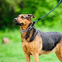 Vista 7 de Collar de entrenamiento para perros, collar de perro sin tirones, collar de perro, hebilla de metal de liberación rápida de alta resistencia, puntas