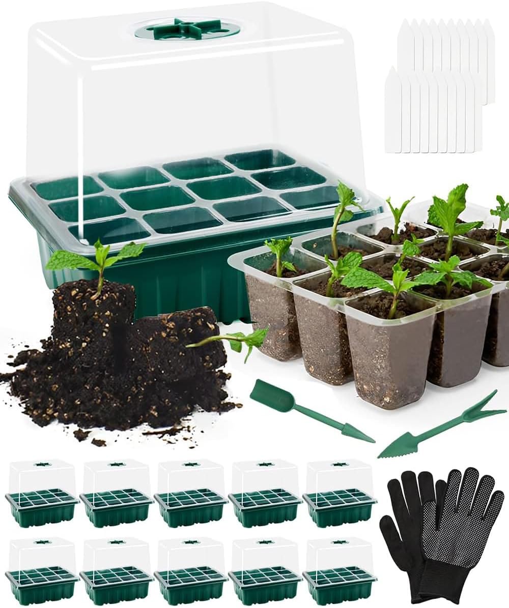 Mini Serre pour Plantes, 5 Pièces 12 Cellules Intérieure Plateau Semis Mini Serre pour Plantes, 5 Pièces 12 Cellules Intérieure Plateau Semis