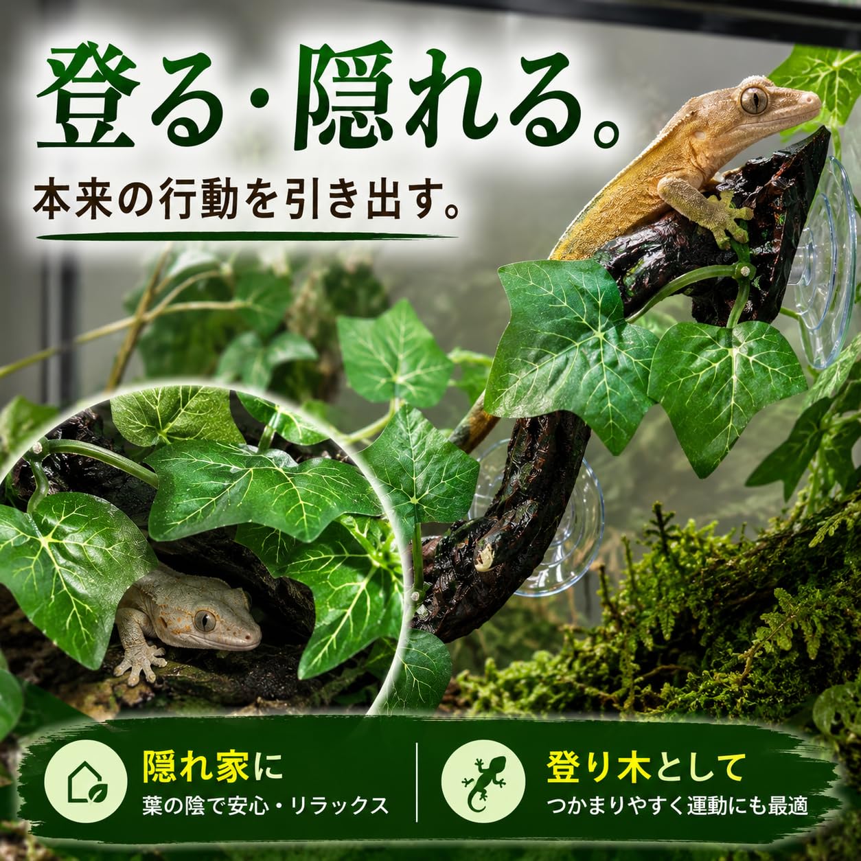 Amazon.co.jp: 爬虫類 登り木 流木 吸盤付き レイアウト 隠れ家 人工