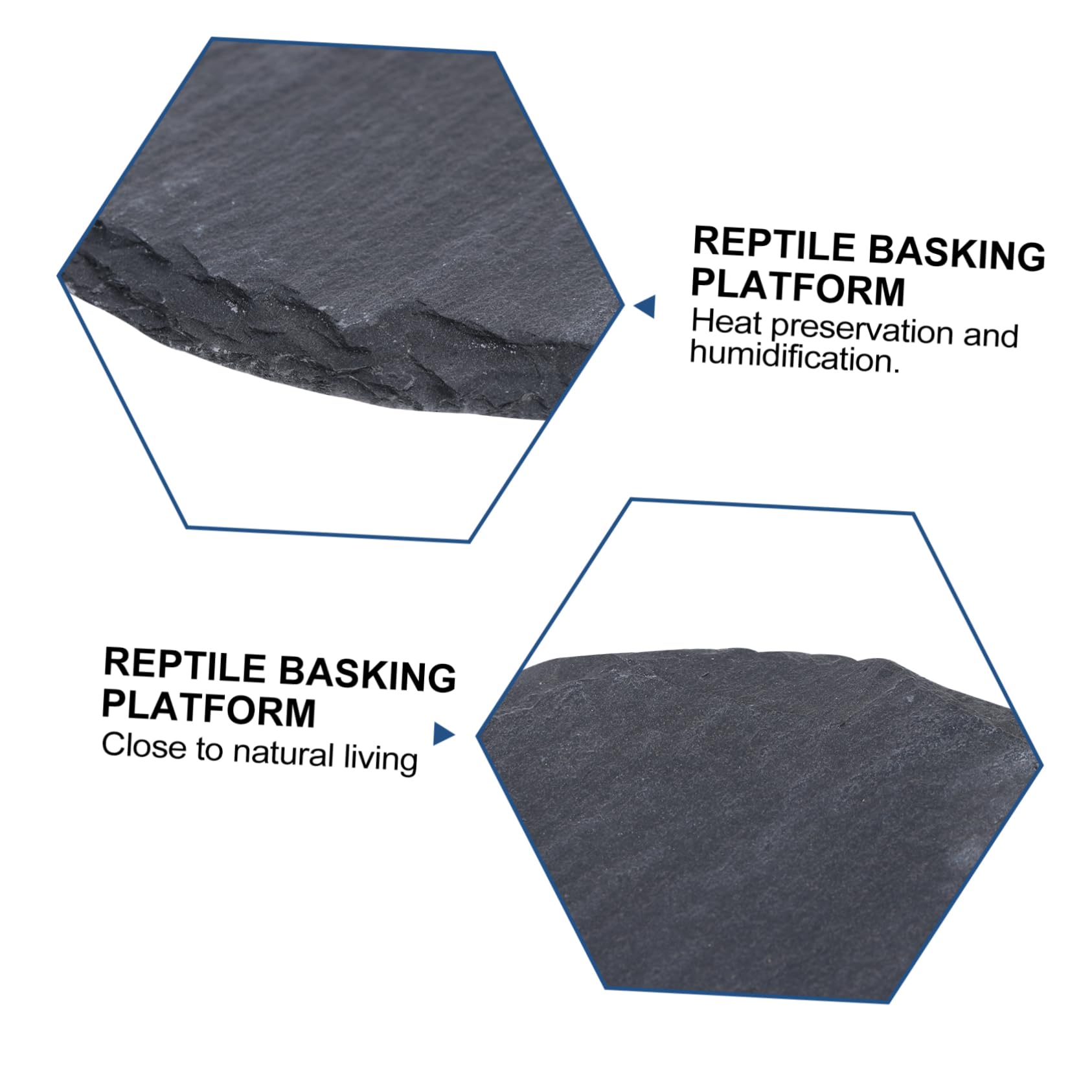 NESSASTORES Hermit Crab Shells with 1