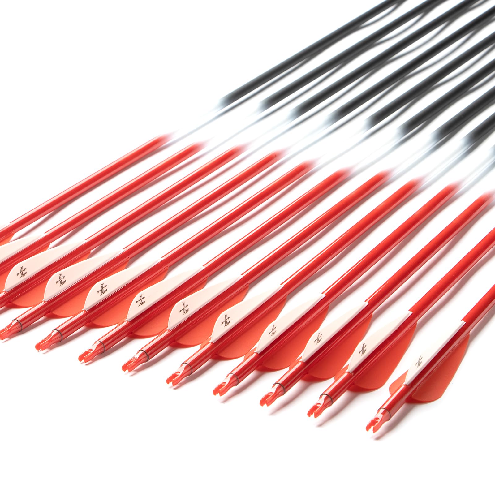 S F Flèches de Chasse d'entraînement en Carbone Spine 500 pour arcs à poulies et arcs Classiques (Pack de 12)