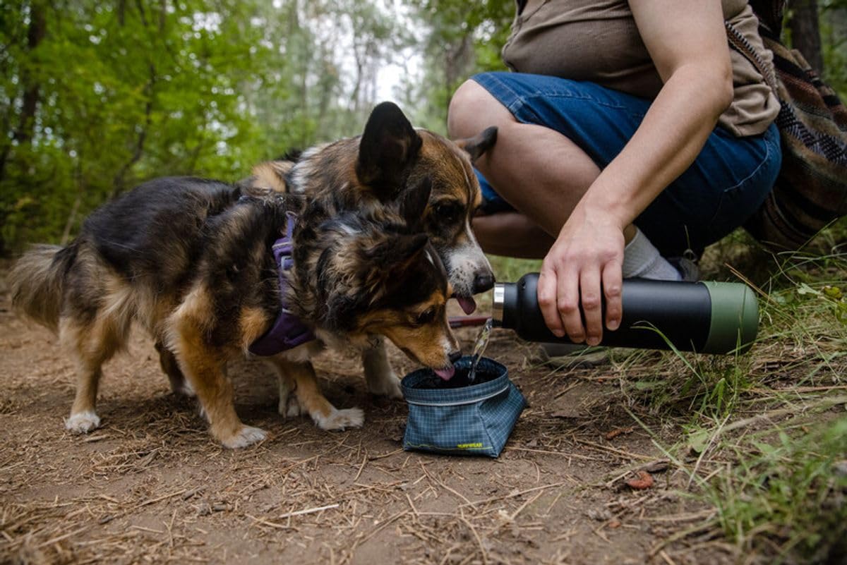RUFFWEAR Great Basin Hundenapf, Leichter, zusammenfaltbarer Reise-Hundenapf für Futter und Wasser, Größe: Small, 0,75 L, Slate Blue