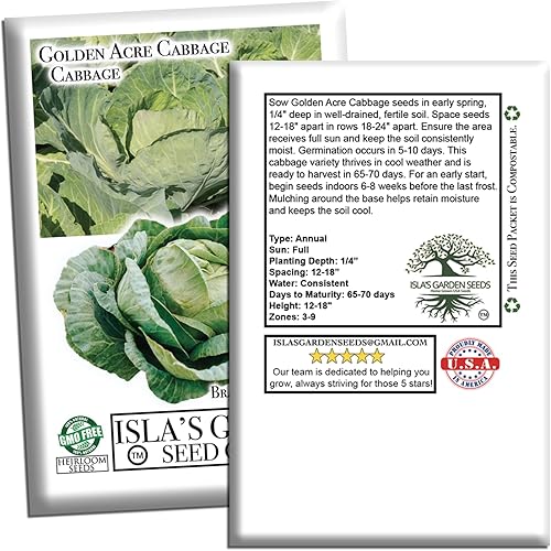 Miniatura 7 de Semillas de col Golden Acre (Brassica oleracea) – Más de 1000 semillas de reliquia sin OMG de Isla's Garden Seeds, maduración temprana y cabezas