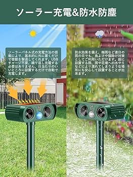 ののじDVD 超音波 ののじDVD 超音波