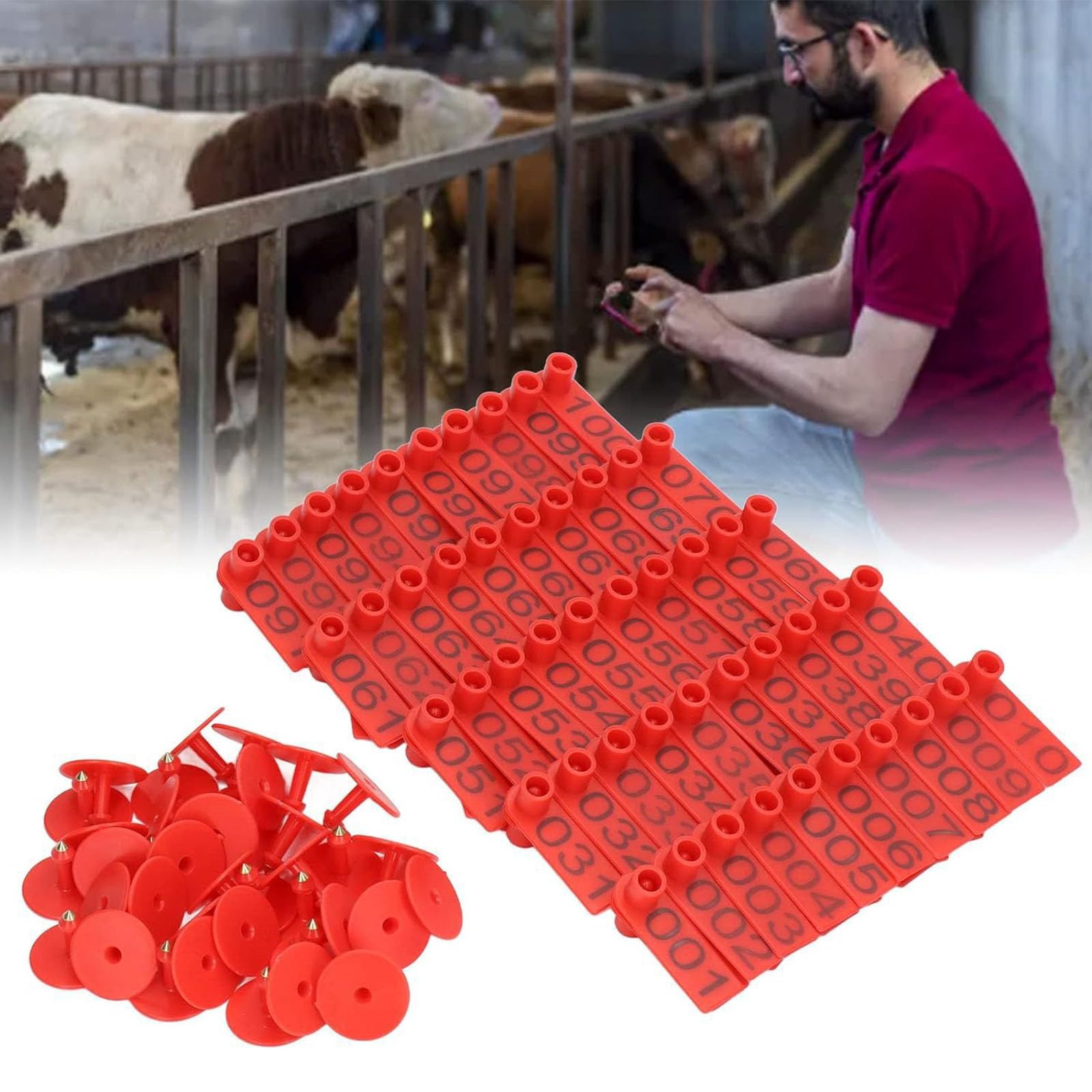 100lots Bestiame Earcon morsetto per l'identificazione delle pecore, strumento di allevamento e gestione adatto per bestiame maiali etichettatura orecchio