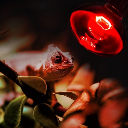 Miniatura 8 de REPTI ZOO Combo de bombillas de calor para reptiles de 100 W, paquete de 2 luces mejoradas para tomar el día y la noche, lámpara de calefacción de