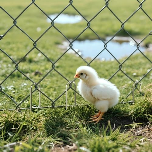 Miniatura 10 de AAGUT Estacas de jardín de 12 pulgadas 50 piezas de estacas de tierra resistentes para jardín estacas galvanizadas para tienda de campaña de 11 Ga