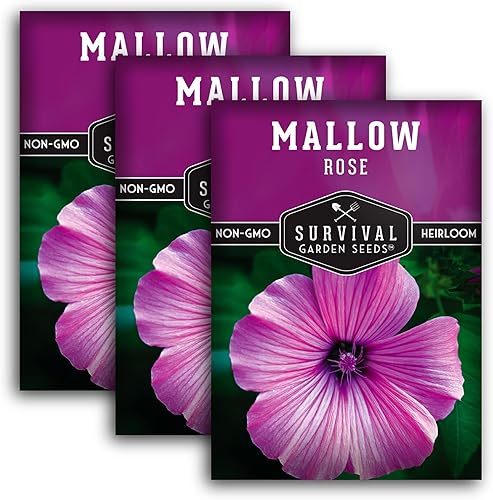 Survival Garden Seeds - Semilla de malva rosa para plantar - 2 paquetes con instrucciones para plantar y cultivar flores silvestres nativas de color