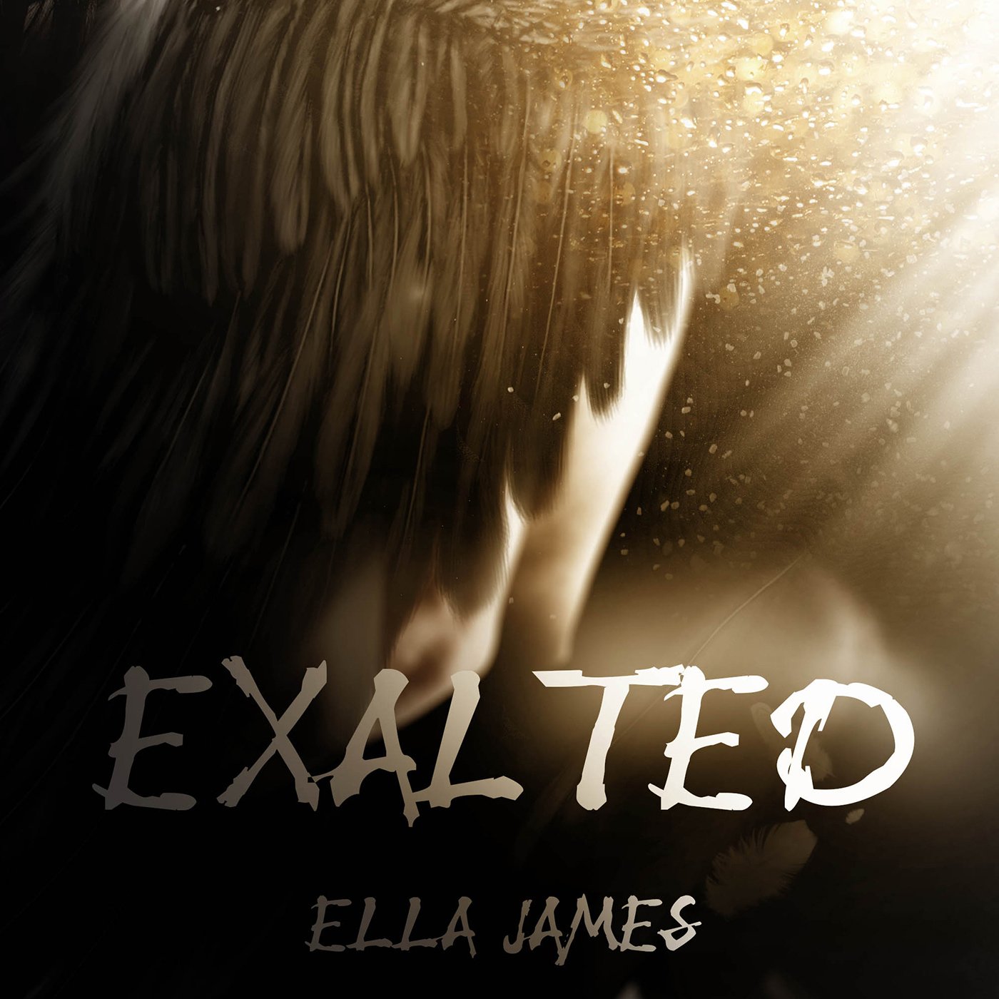 Cover art for Exalted
