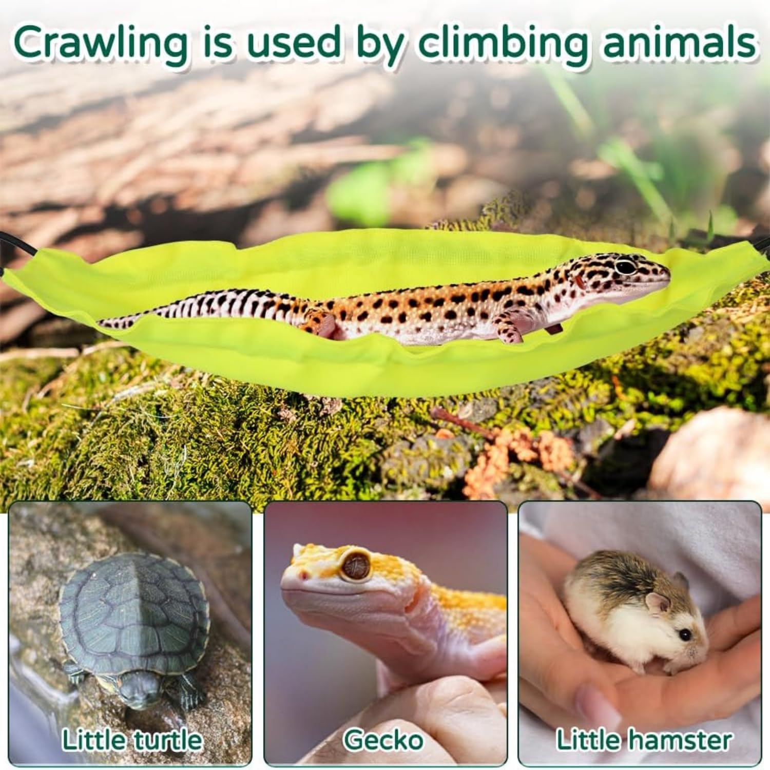 Yunmoxiao Reptology Lizard Hammock with Suction Cups, Bearded Dragon Hammock Bed - Image 4